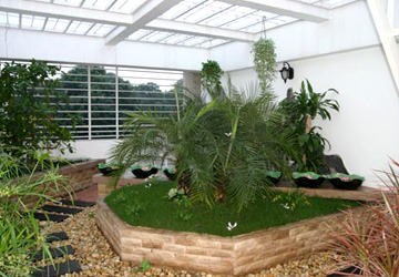 Tạo vườn cho nhà phố, trang trí ngoại thất